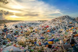 landfill
