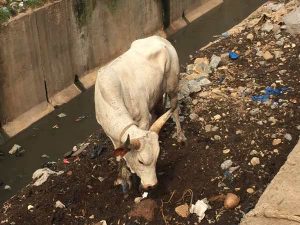 garbage waste in Africa