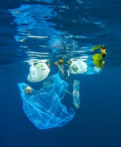 plastic waste floating in the ocean